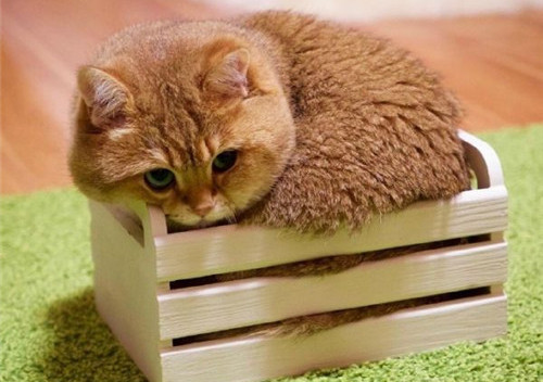 可以戳中中你笑点的搞笑说说带图片1