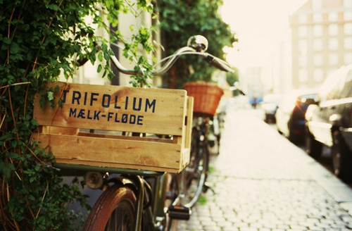 90后关于人生现实的很有哲理道理的精辟说说5