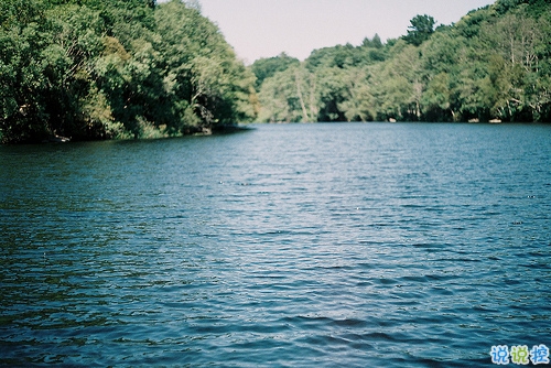 关于爱情简单精辟的一句话说说带图片 我和世界只差一个你4