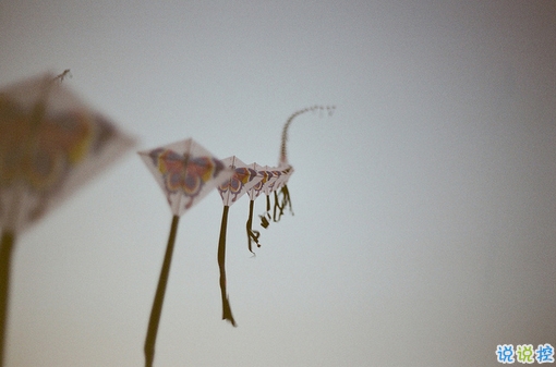 文字控关于青春成长的唯美说说和图片 年华是一场无声剧3