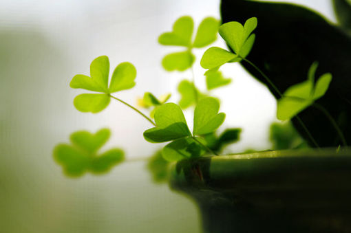 关于读书阅读的哲理精辟有道理的说说带图片12