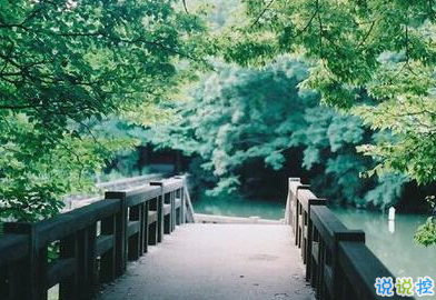 承蒙你出现，够我喜欢好多年9