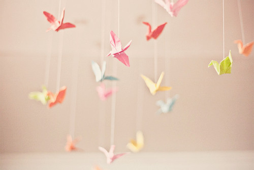 唯美温暖的小清新句子带图片 你是天边的霞光吞吐脚畔的蔷薇含羞6