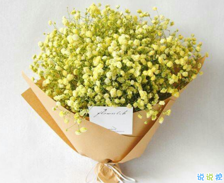 晚安心语唯美配图加文字:比起早安,我更喜欢晚安11