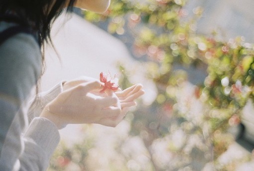 超唯美文艺的说说带图片 你看没看见我都盛开风来不来芬芳都在4