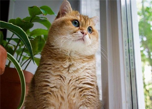 可以戳中中你笑点的搞笑说说带图片3