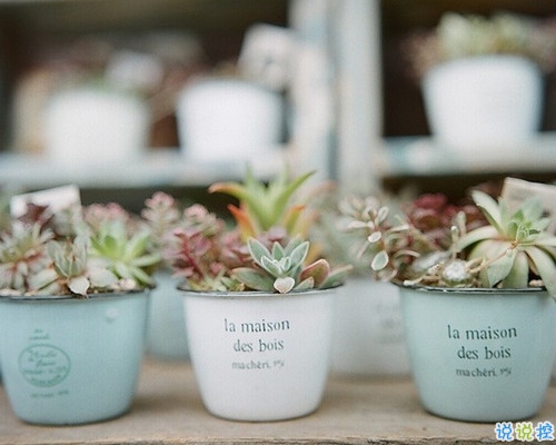 唯美诗意的说说带图片 我饮尽渔火明月秋色无边3