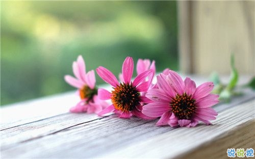 2019关于春分的微信说说带图片 春分节气早安祝福语8