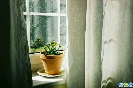 最暖心的一句话说说一秒被融化 那些温暖人的经典说说带图片10