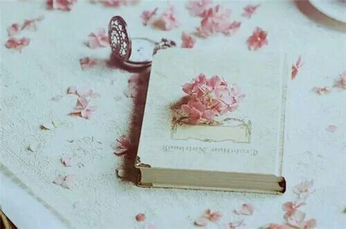 简单美好生活的小清新诗意句子带图片8