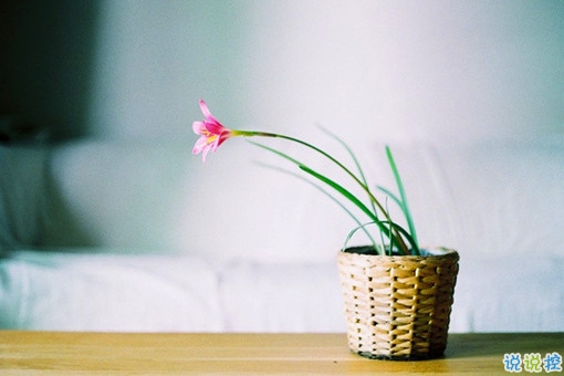 女生唯美伤感说说带图片 一句话描述心情不好的说说6