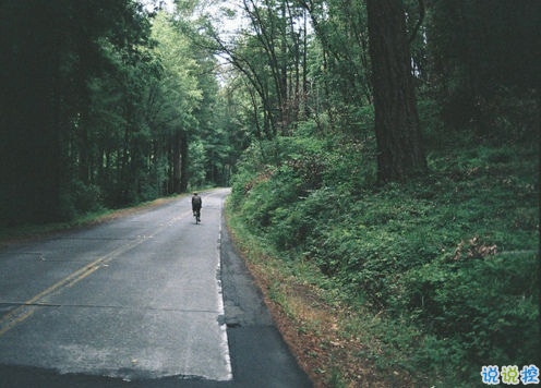 那些抖音中唯美的小清新图片句子 浮世万千吾爱有三4