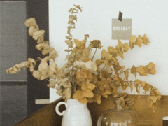 让你一眼就能爱上的句子 江月何曾皱眉