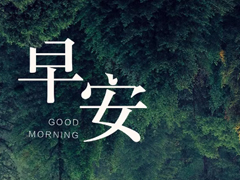 2018微商早安正能量语录集 微商励志语录女人早安心语