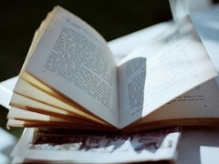 简单美好生活的小清新诗意句子带图片